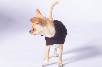 ruffled dog sweater