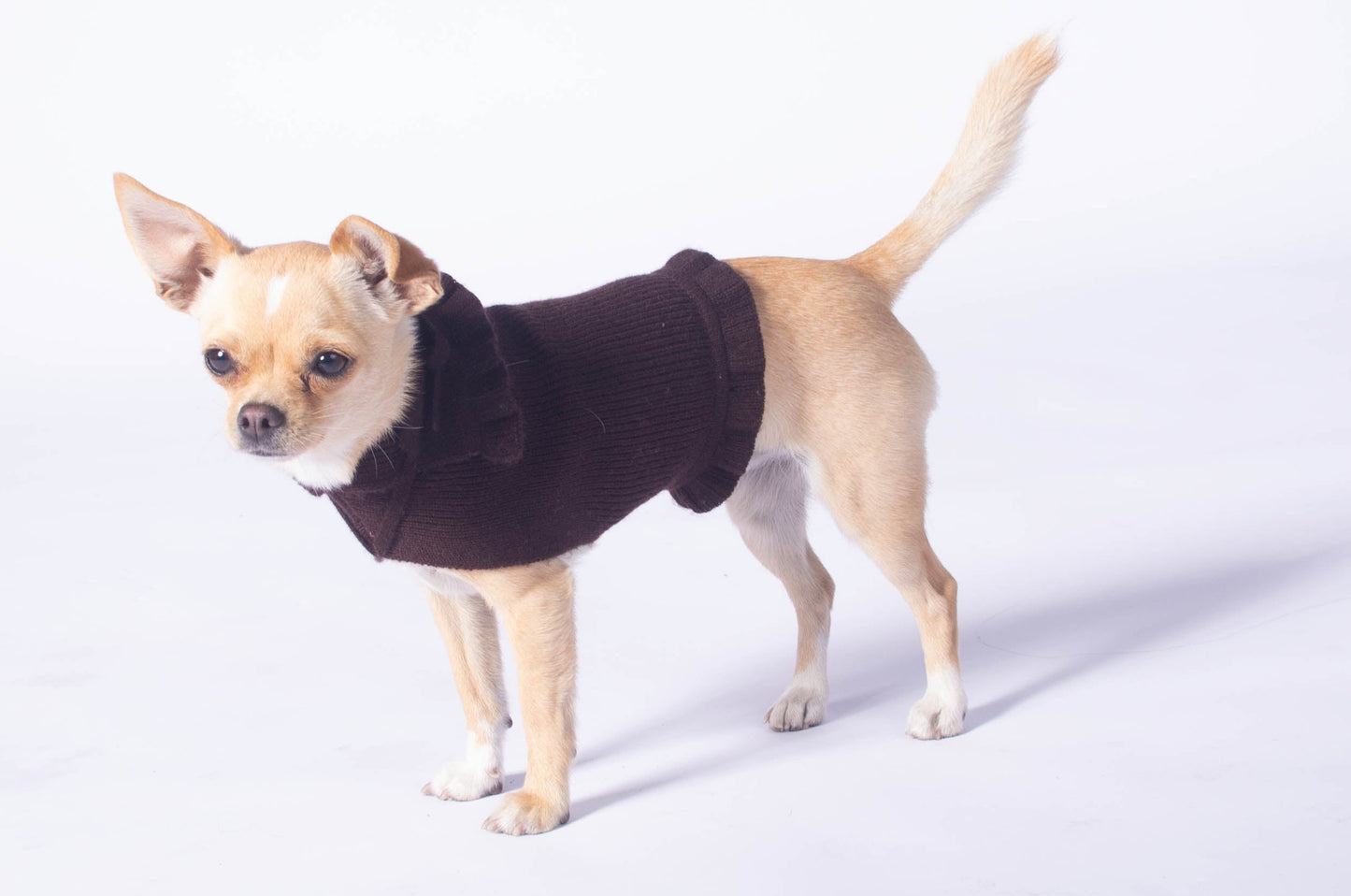 ruffled dog sweater