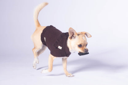 ruffled dog sweater