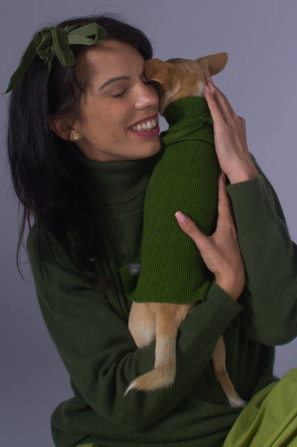 plain dog sweater