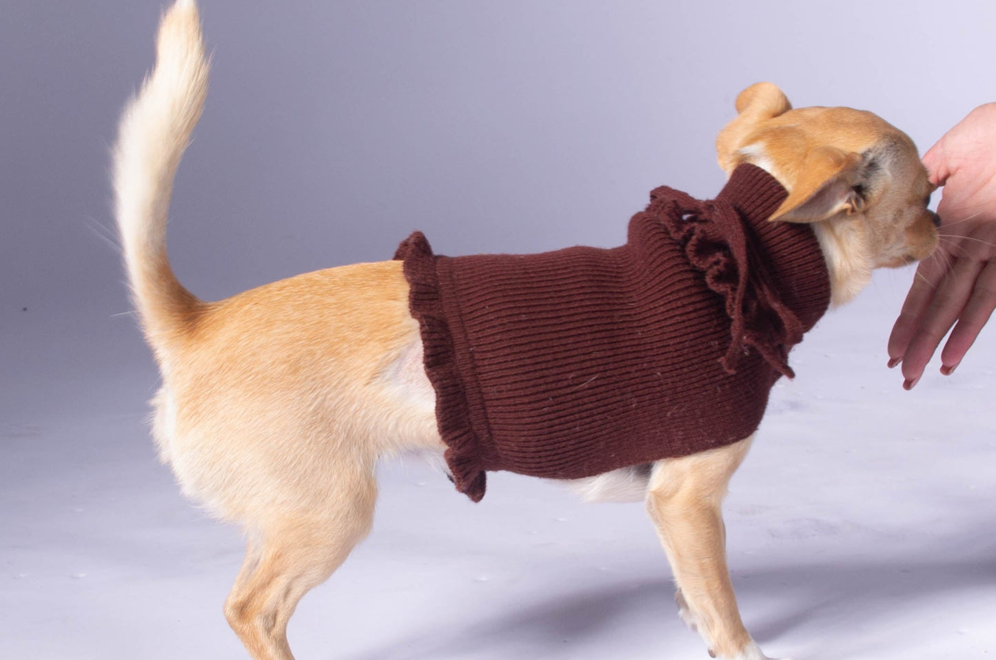 ruffled dog sweater