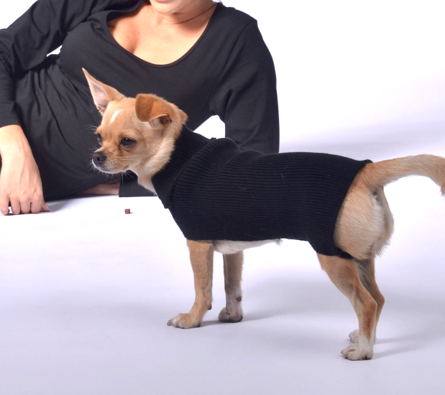 plain and clean long dog sweater