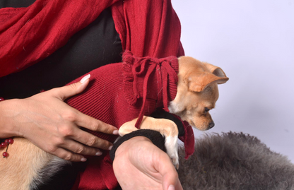 ruffled dog sweater