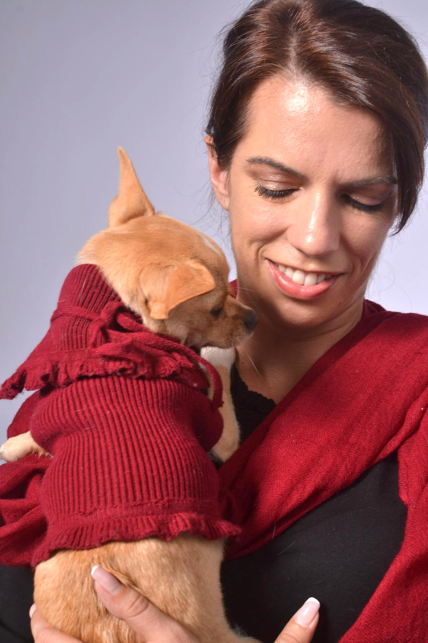 ruffled dog sweater