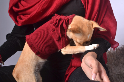 ruffled dog sweater