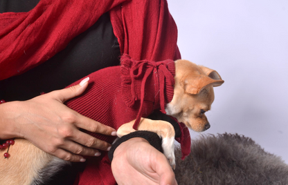 ruffled dog sweater