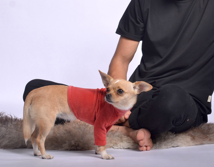 velura dog sweater