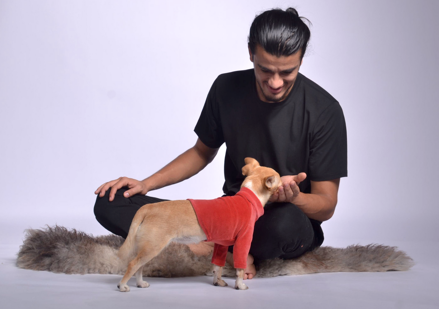 velura dog sweater